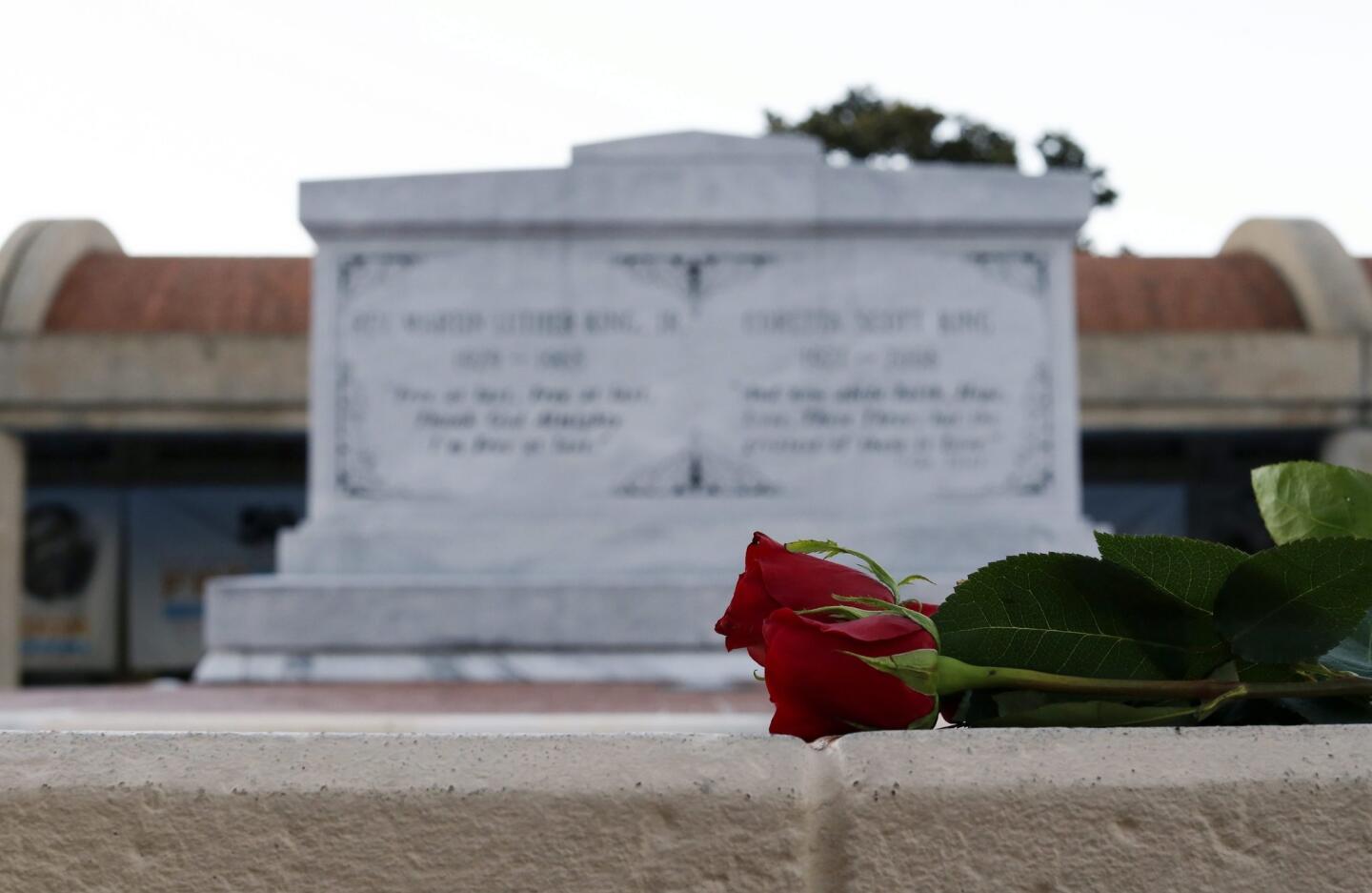 Red roses at King tomb