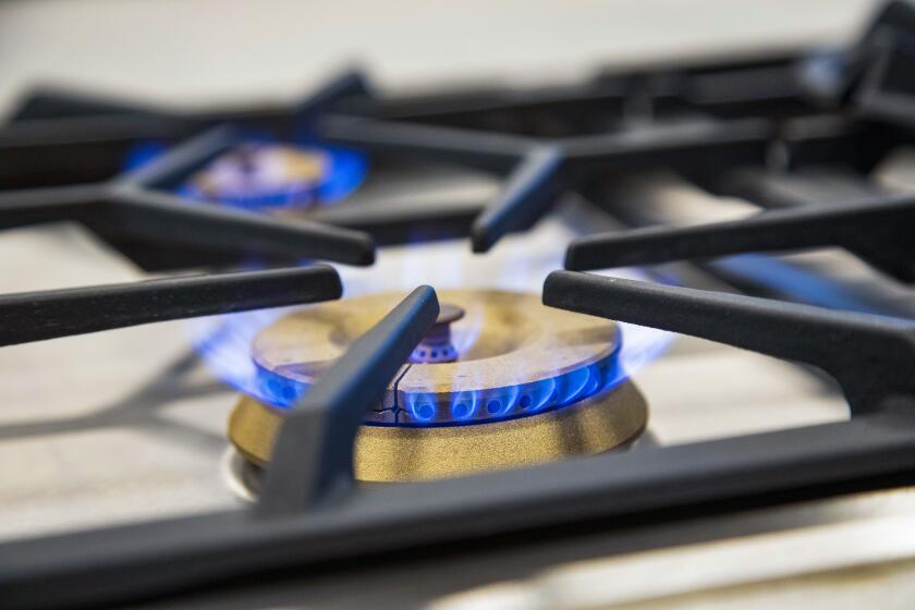 A gas stove burner, with blue flames.
