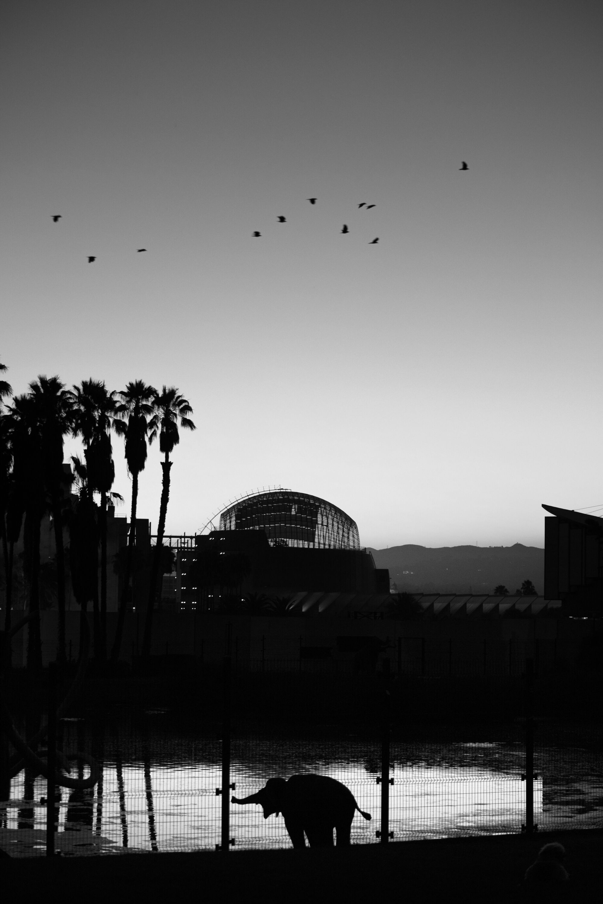 The Academy of Motion Pictures Museum as seen from neighboring La Brea Tar Pits.