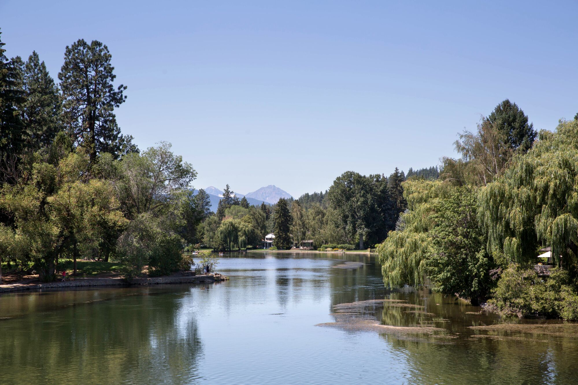 A calm river meandering past green trees under a blue sky, with the top of a mountain visible in the background