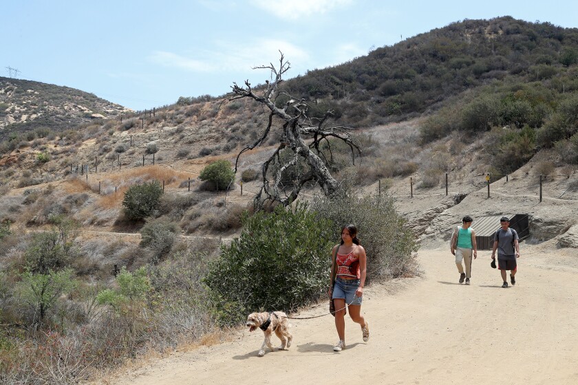 A hiker walks her dog at Black Star Canyon in Silverado.