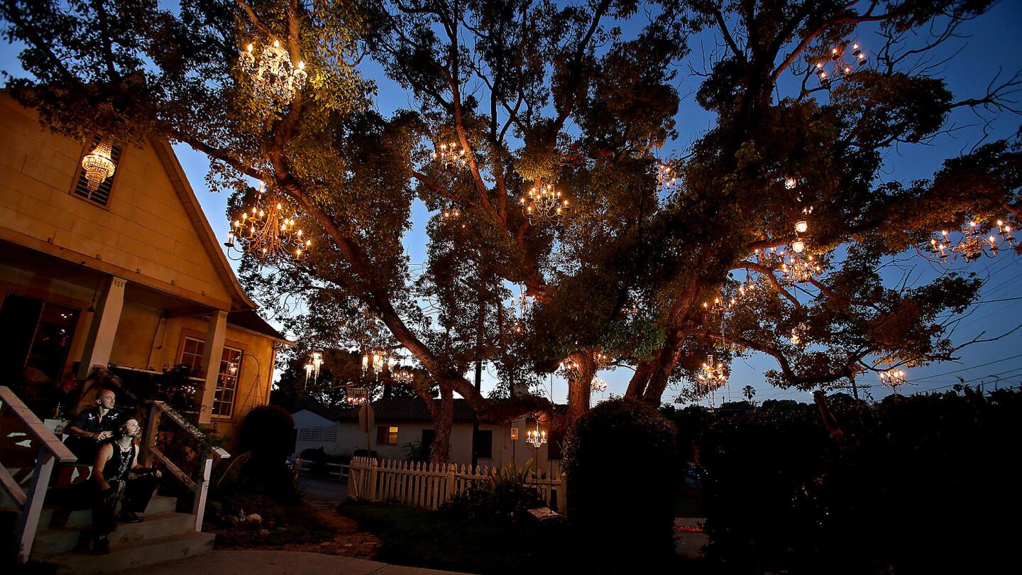 Chandelier Tree sparkles in Silver Lake