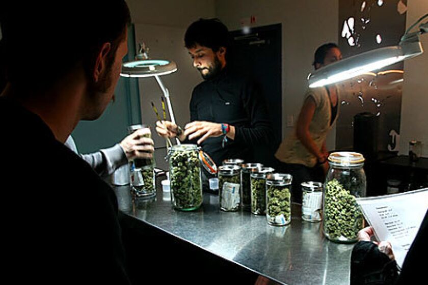 Manwell Hernandez, an associate at the Cornerstone Collective medical marijuana dispensary serves customers from behind a stainless steel counter. Tall jars contain various kinds of dried marijuana buds that are sold only to qualified patients with a doctor's recommendation. At right, a patient reads the menu.