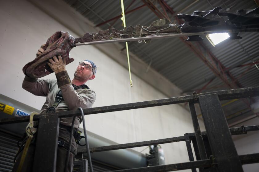 TRENTON, ONTARIO, CANADA - MARCH 5, 2024: Mounting Technician Kevin Krudwig Morrison installs a temporary styrofoam head on "Natalie" at Research Casting International on March 4, 2023, in Trenton, Ontario, Canada. The assembly will be taken down and packed up safely to ship back for final assembly at the Natural History Museum in LA, to greet museum visitors in their new entryway. There had been some debate about whether the bones should be put together in a way that makes them look most dramatic or whether scientific realism. (Ian Willms / For The Times)