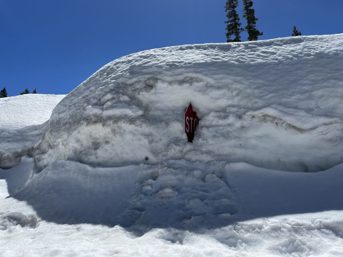 A stop sign is buried in snow near Donner Pass.