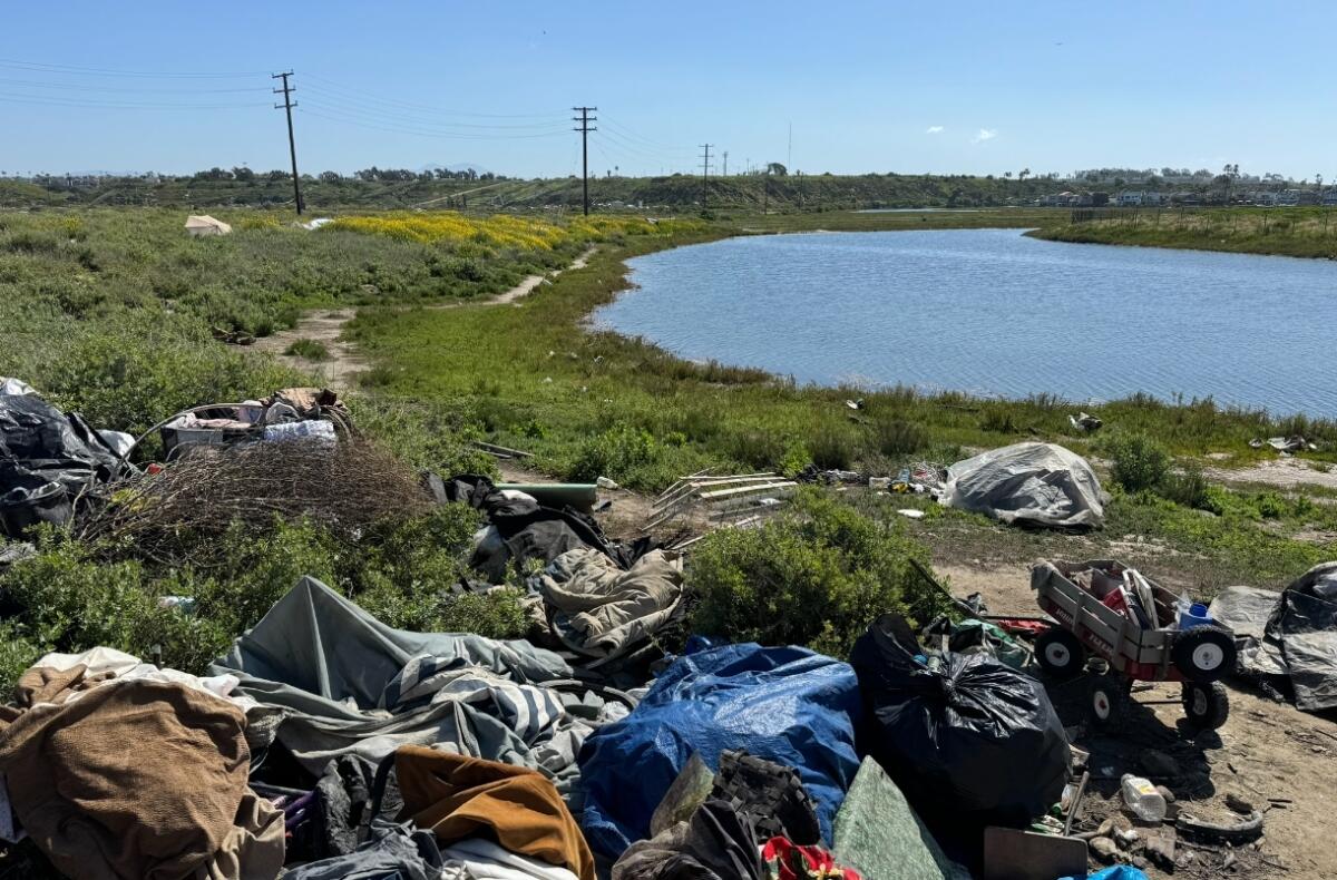 Some of the homeless encampments that stretch into protected marshlands.