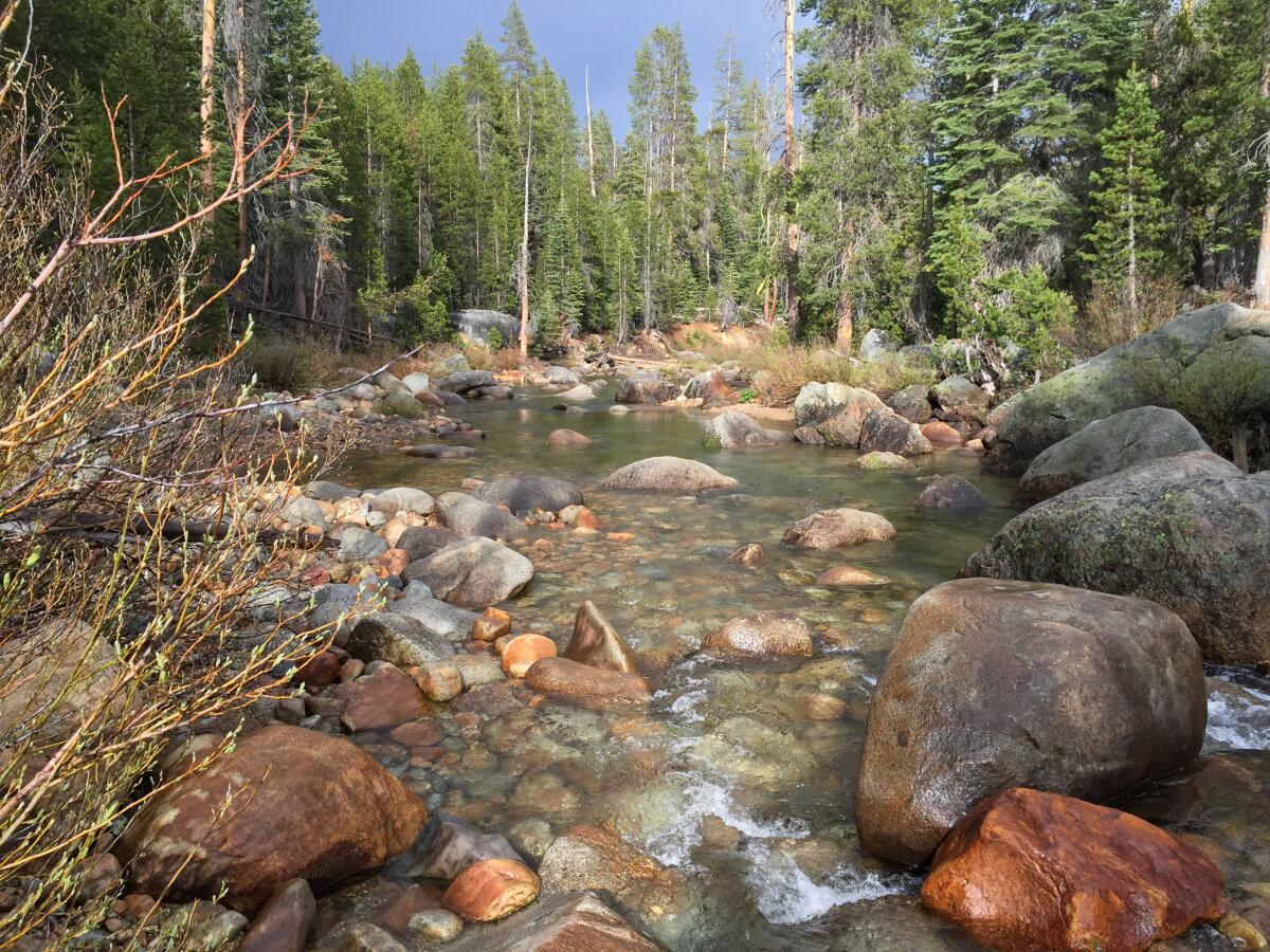 A headwater tributary to the San Joaquin River in Sierra National Forest.