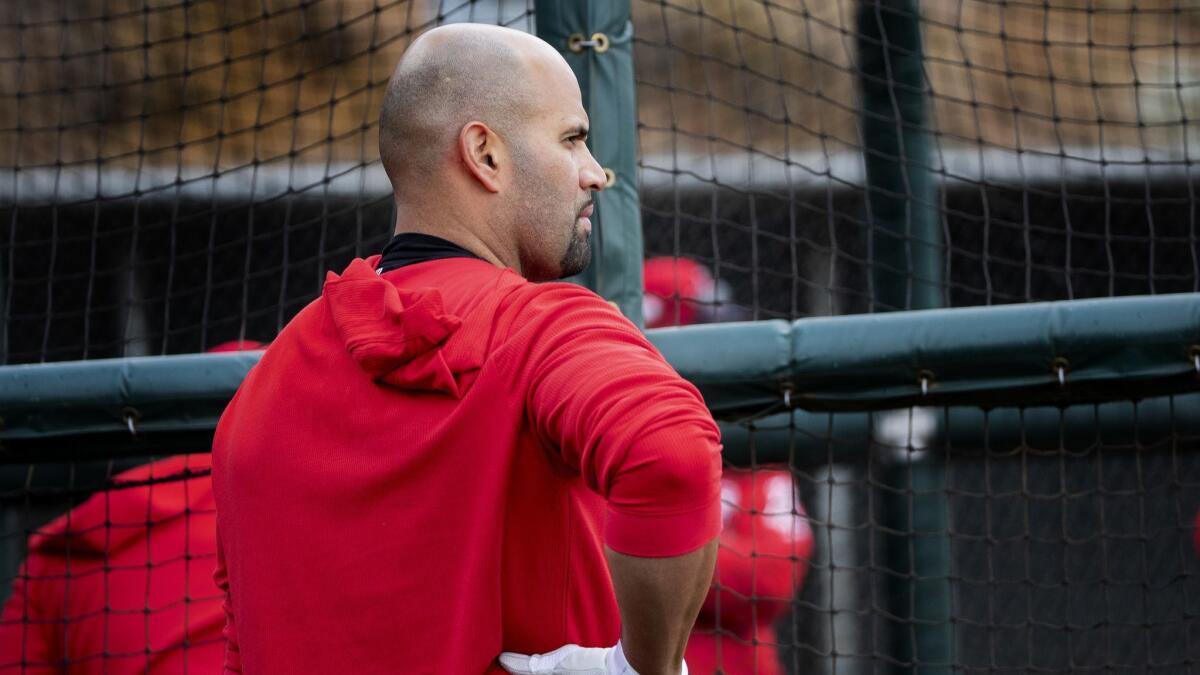 Angels first baseman Albert Pujols gets ready for a spring training practice session on Feb. 18.