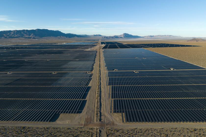 CLARK COUNTY, NV - January 27: A solar development in the Eldorado Valley on land in the Boulder City Conservation Easement in Clark County, NV. (Brian van der Brug / Los Angeles Times)
