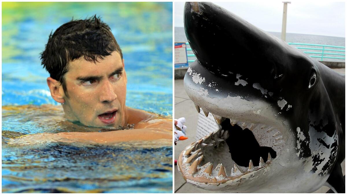 It turned out that Michael Phelps was no match for a shark, even a simulated one.