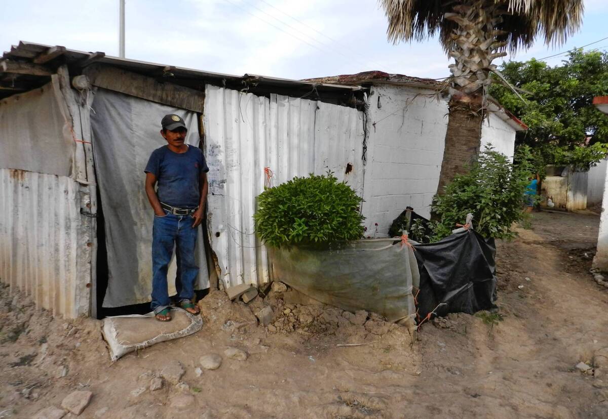 Farmworker Ramiro Castillo stands in front of his living quarters near Villa Juarez in Mexico’s Sinaloa state. Half the tomatoes eaten in the U.S. this time of year come from Sinaloa.