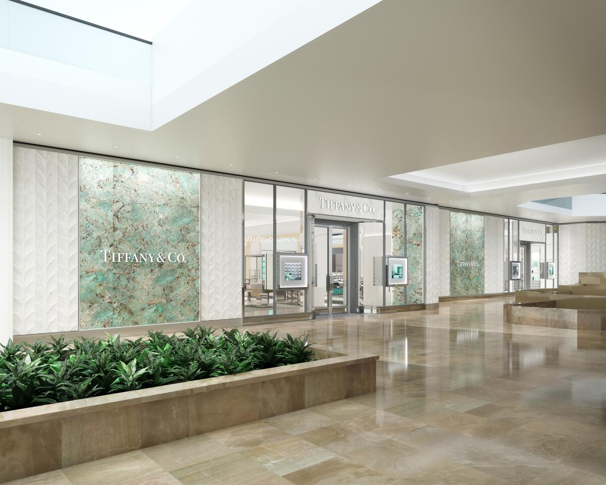 Tiffany & Co.'s Fifth Avenue Store Reopening Set - Shop! Association