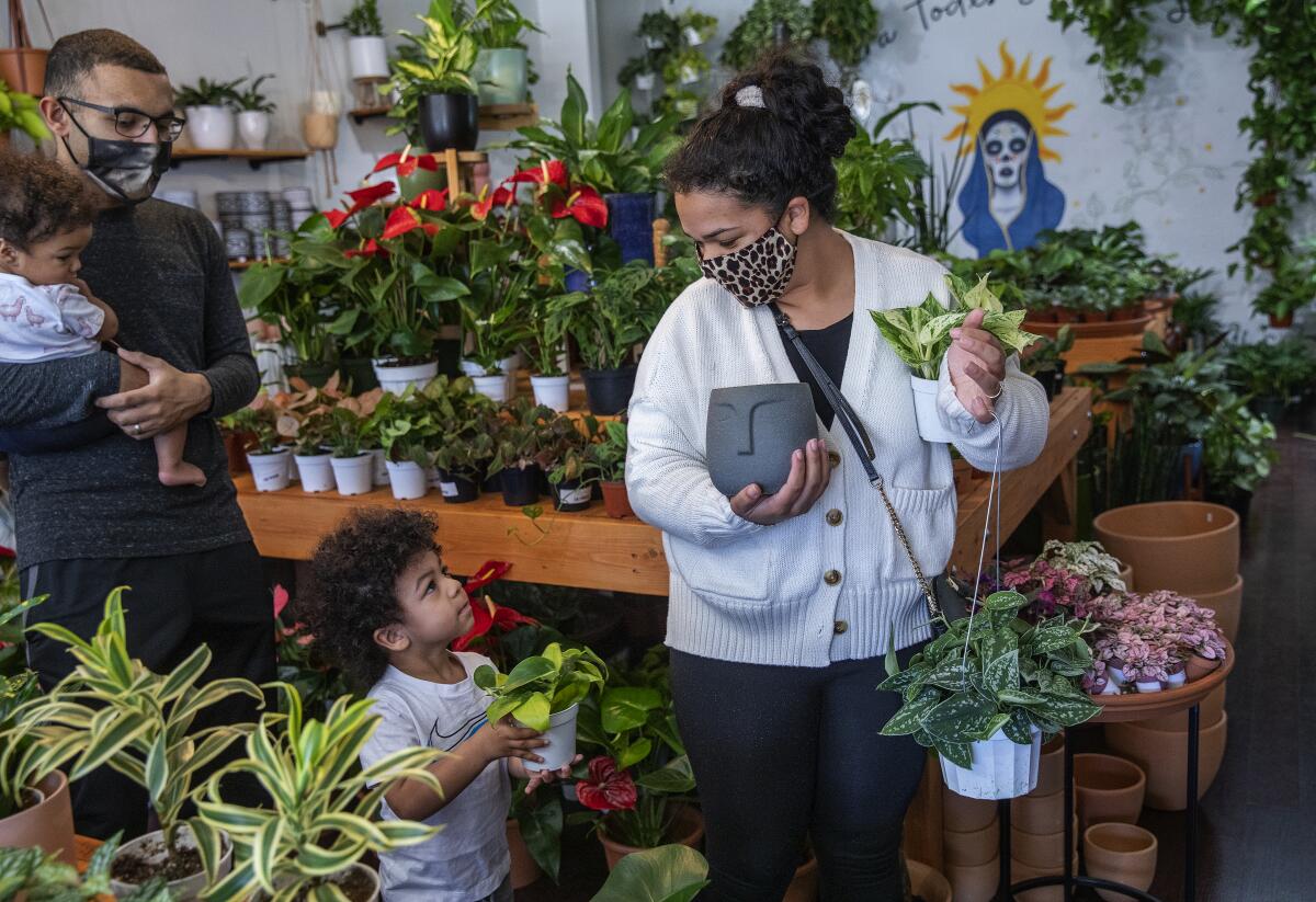 A family of four, plants in hand, lines up to make purchases.