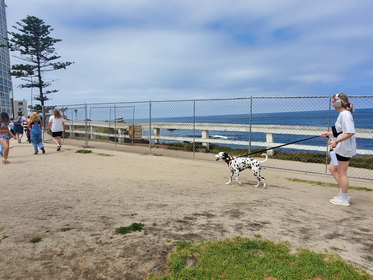 This fencing in Scripps Park is intended to keep people away from an eroding cliff.