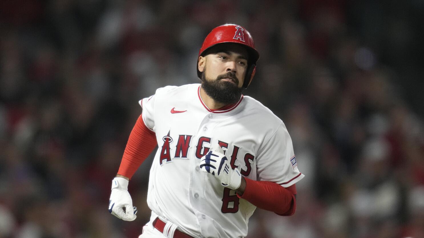 Angels winning despite aches and pains; Rendon among injured infielders -  The San Diego Union-Tribune