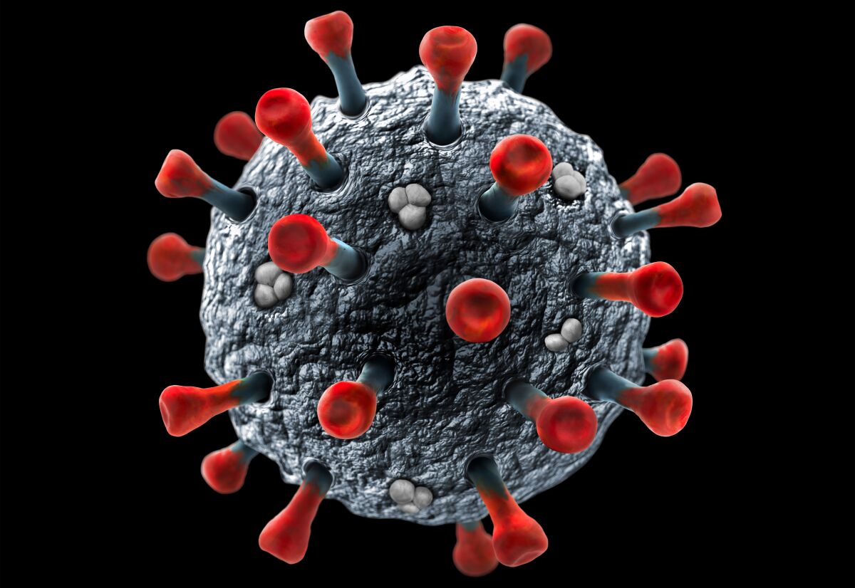 Illustration of Corona Virus on Black Background - Microbiology And Virology Concept - Created in Adobe Photoshop CC 2017
