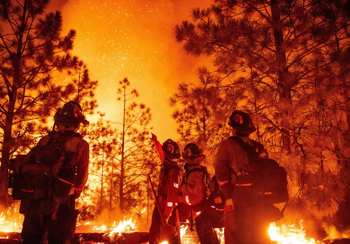 Firefighters monitor the Mosquito fire.