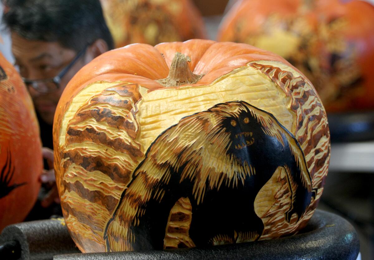 For five evenings this month, about 1,000 professionally carved pumpkins will line a 1-mile walk through the Camellia Forest and Oak Grove at Descanso Gardens.