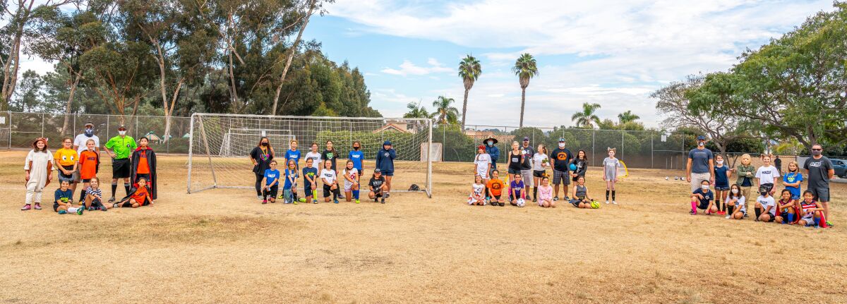 The four DMCV Sharks Girls U12 teams