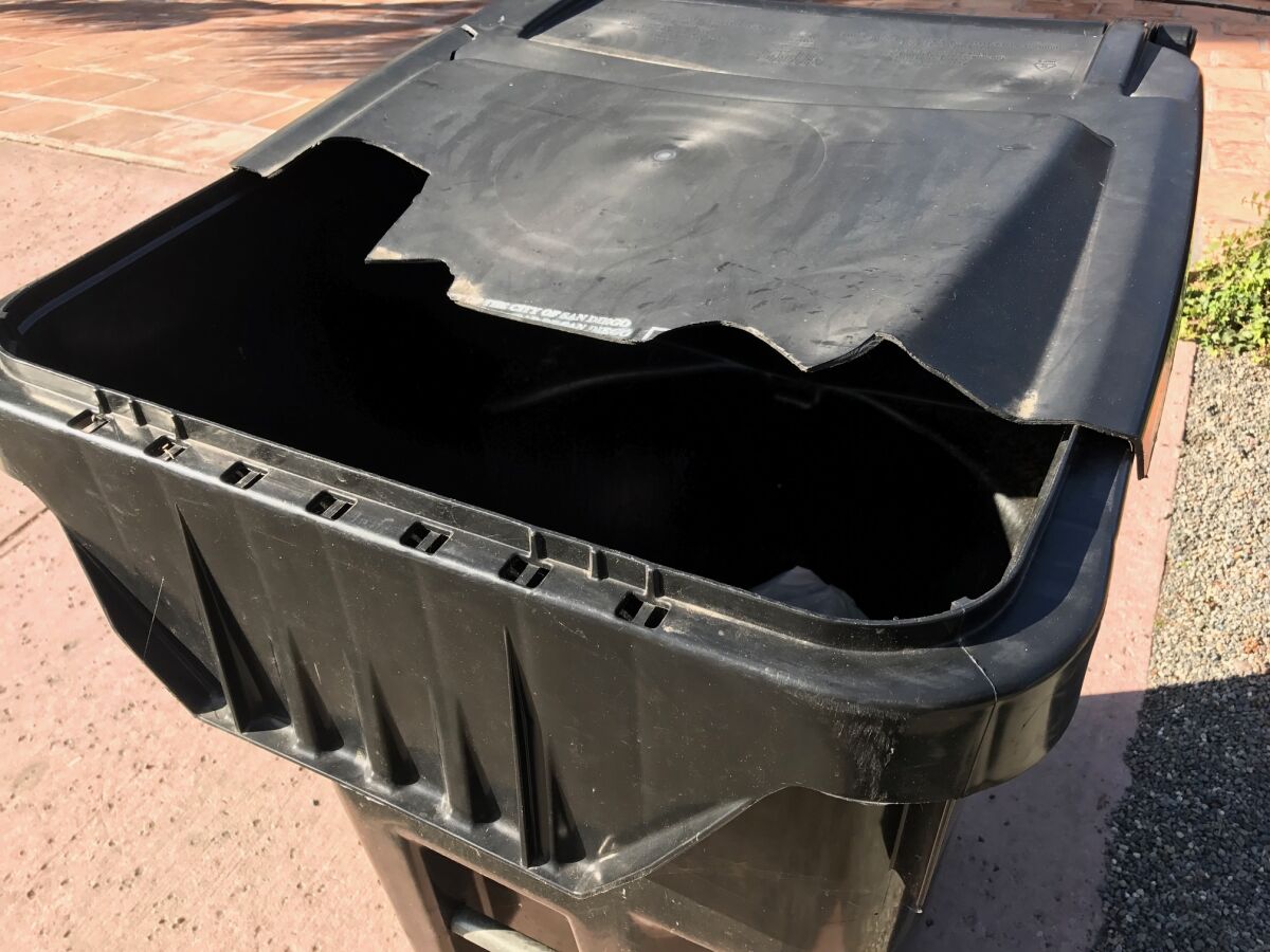 Inga is trying to imagine putting food waste into a green bin that looks like this after a few pickups by trash trucks.