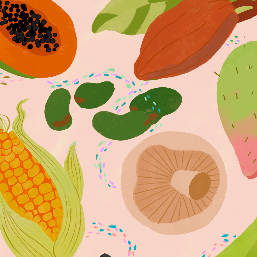 An illustration of colorful fruits and vegetables.