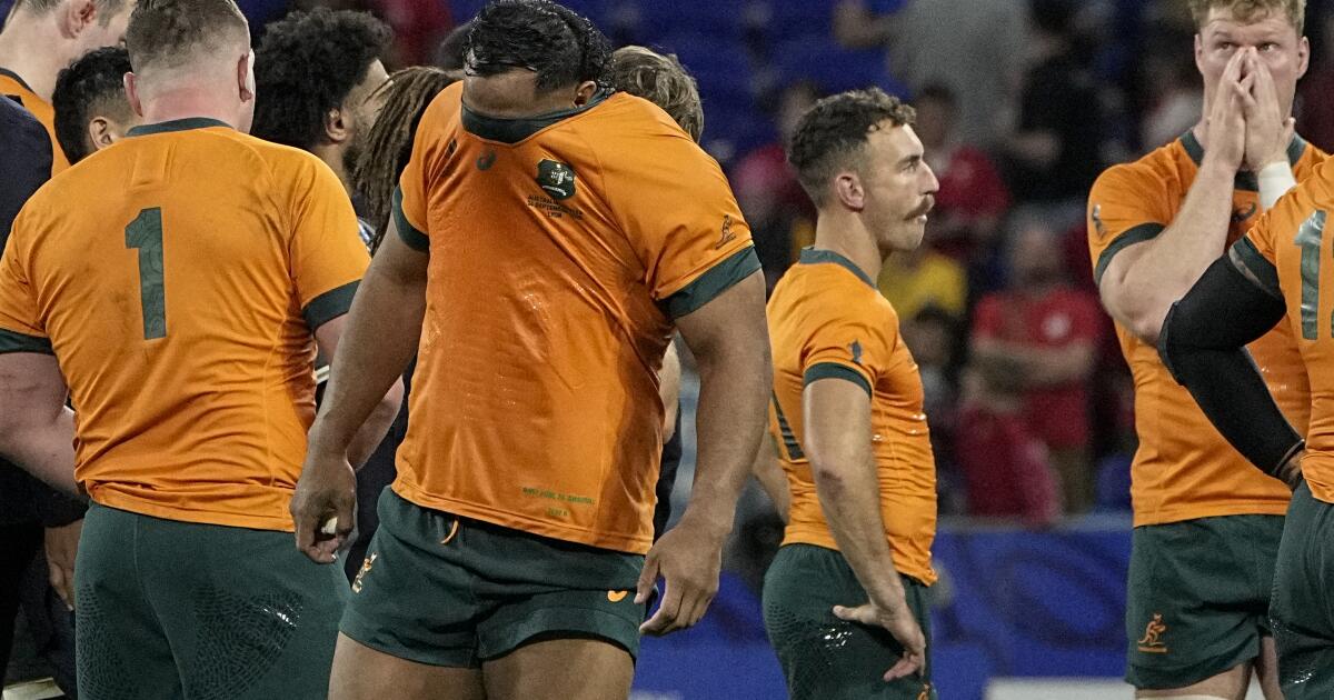 Photo of Le Super Rugby est en partie responsable des malheurs de l’Australie lors de la Coupe du Monde de Rugby, déclare l’entraîneur adjoint
