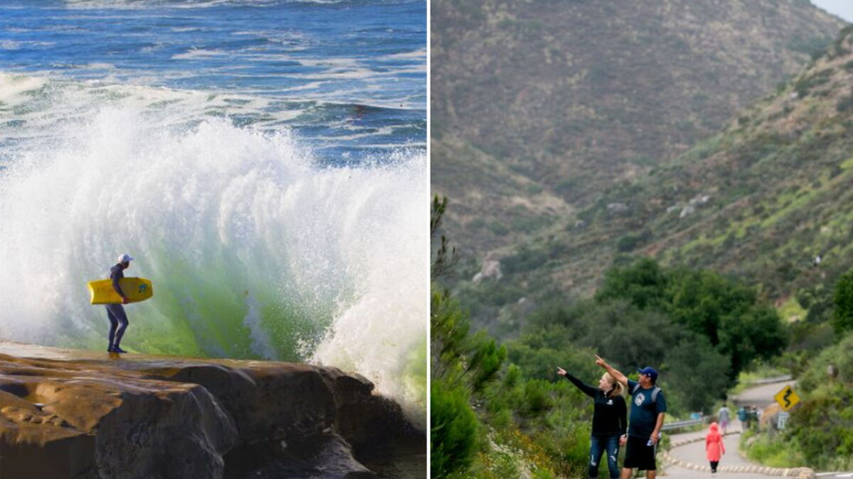 Opinion: San Diego's secret spots run the gamut from the beach to the backcountry - Vimarsana News