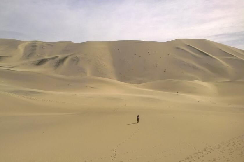 Eureka Dunes are the tallest in California.