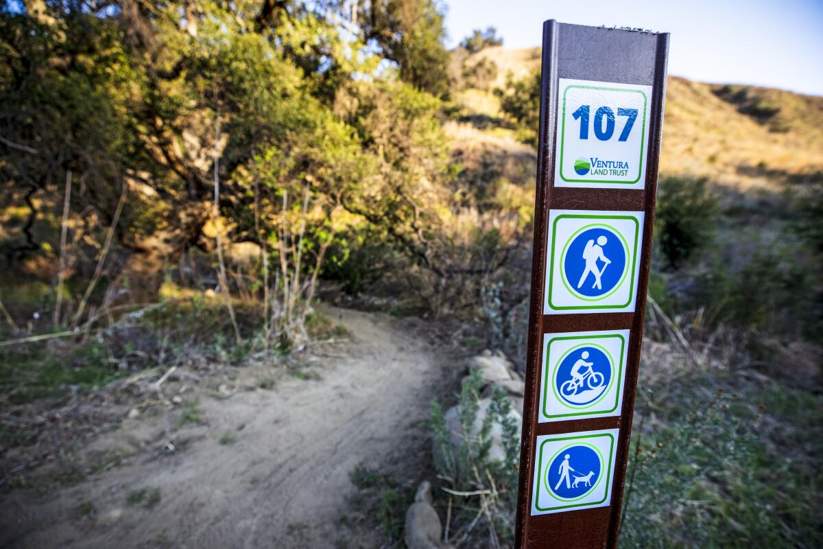 A trail marker