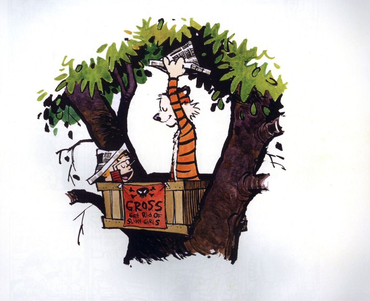 'Dear Mr. Watterson' (2013): This low-key documentary about the beautiful, hilarious and much-missed comic strip "Calvin and Hobbes" isn't the sort of big-budget cinematic experience bolstered by a churning Philip Glass score or even an interview with its subject, cartoonist Bill Watterson. But what it does is capture how a boy and his tiger still captivate almost 20 years after the strip ended and how Watterson's purity of vision remains an example of true artistry.