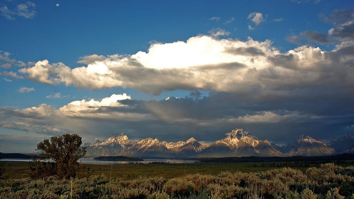 If you're planning to visit Grand Teton National Park, nearby Jackson Hole Lodge in Jackson, Wyo., will discount rooms 25% during a five-day Black Friday-Cyber Monday sale.