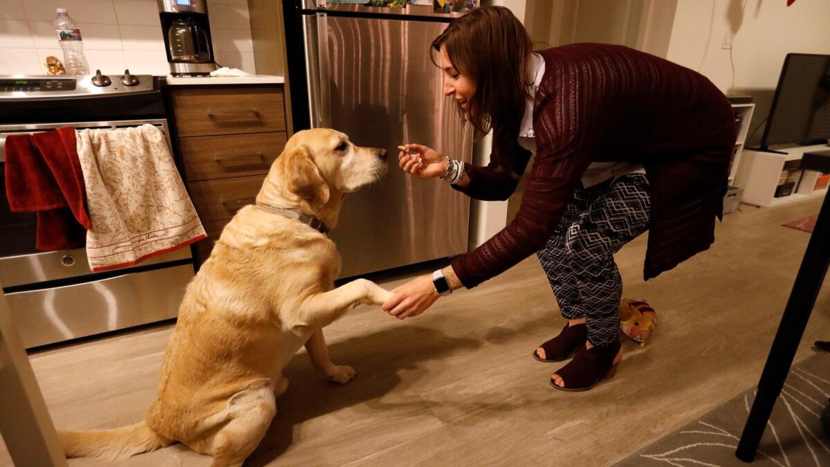 Breanna Rawding, 26, manager of marketing communications of Las Vegas Global Economic Alliance, spends time with her dog Bodie in her apartment in Las Vegas. She moved from Burbank to escape a long commute.