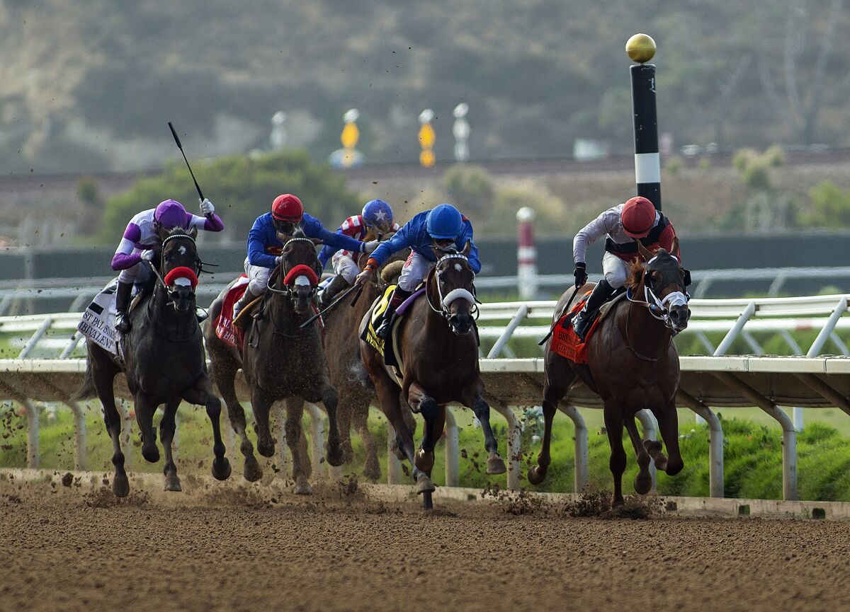 Two-year-olds will be in the spotlight on Sunday in the Best Pal stakes at Del Mar.