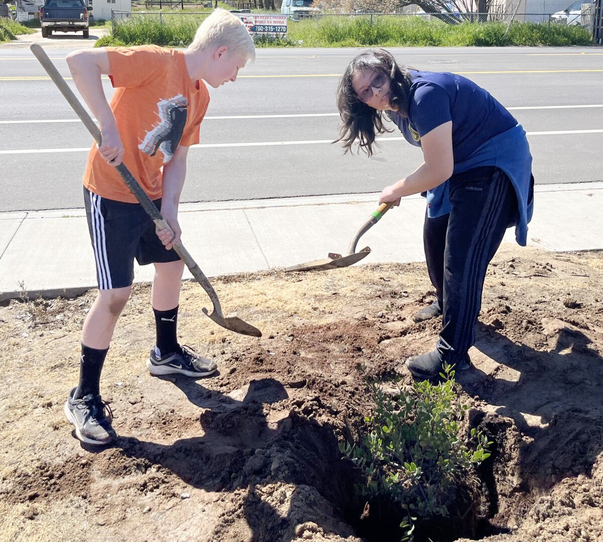 From left, Corbin Fox and Avril Vallaneda dig a hole to plant a tree.