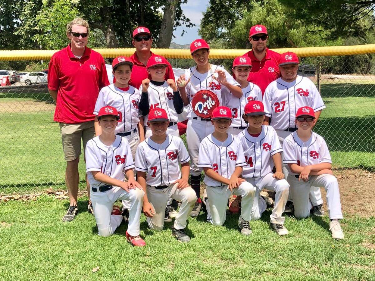 Meet the Danvers National Little League Major Division Dodgers