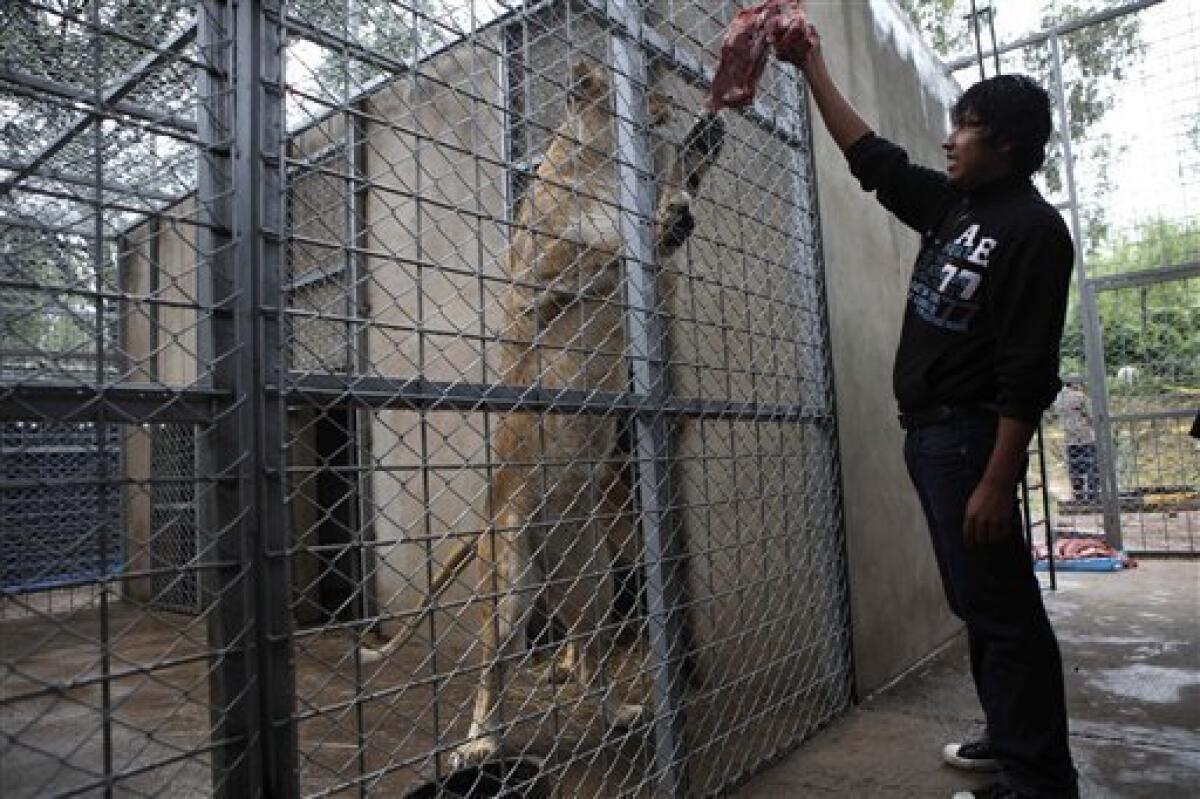 Worldwide Circus Bans - FOUR PAWS in US - Global Animal Protection