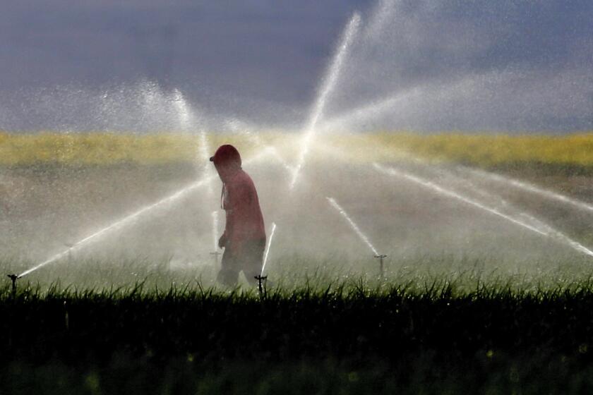 Farmworkers adjust sprinkler coverage south of Bakersfield.