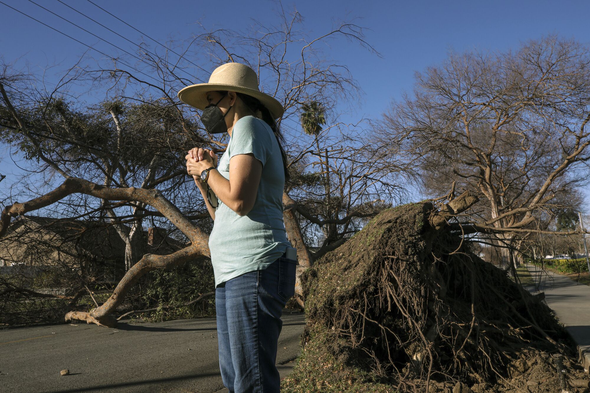 A woman with a felled tree