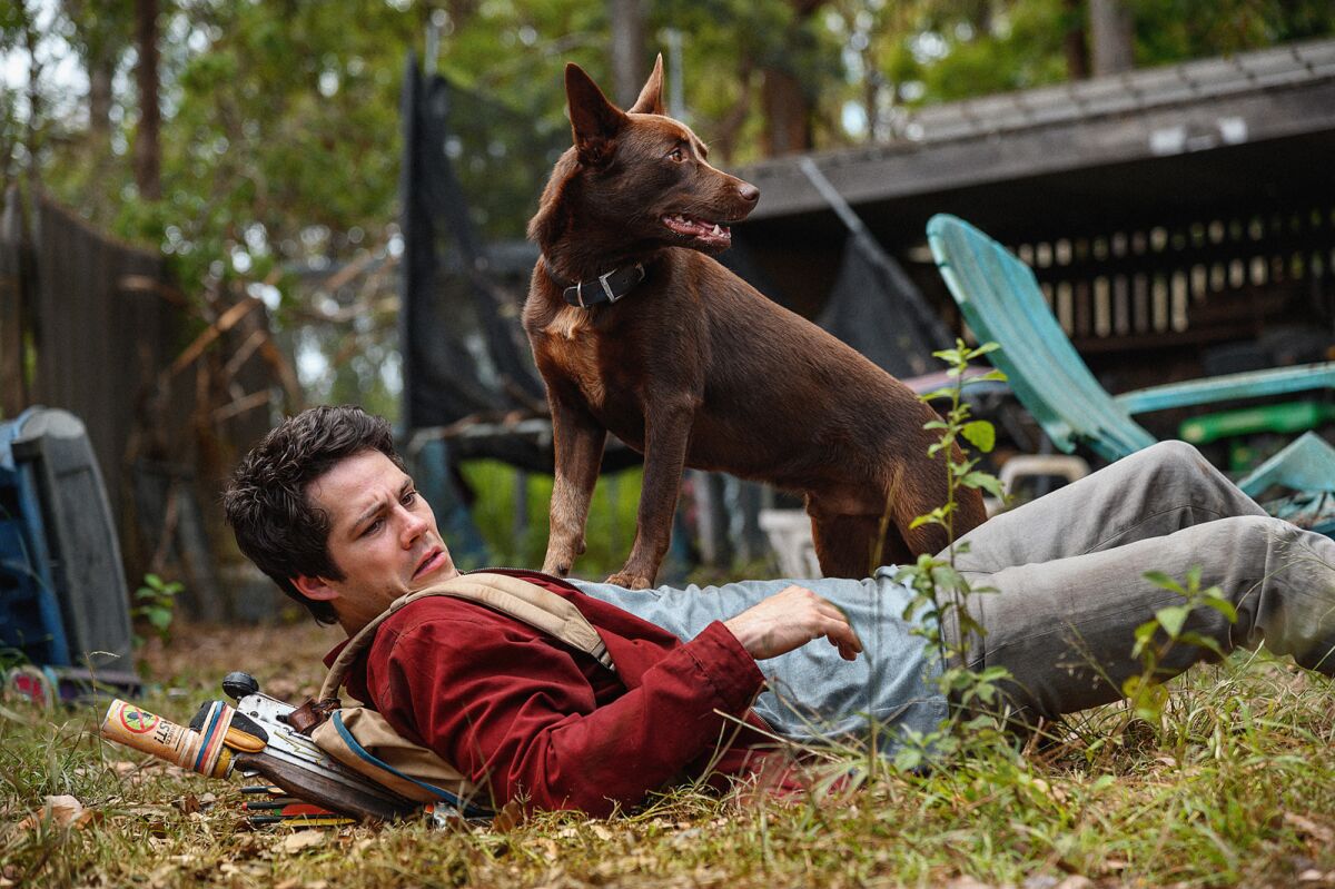 Dylan O'Brien in a scene from the movie "Love and Monsters."