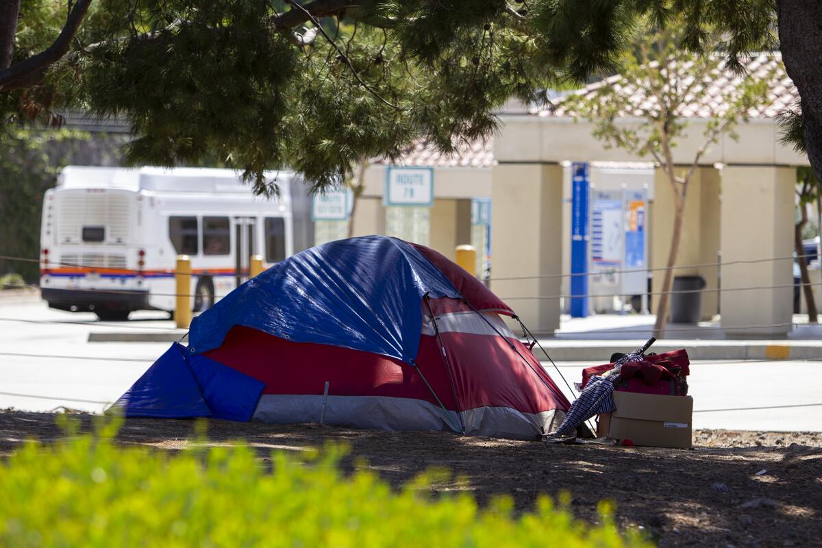 Homeless people have set up tents in the wooded landscaping around the Newport Beach transit center on Avocado Avenue.