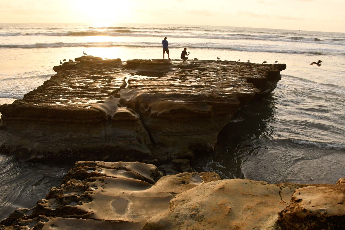 At water's edge at Torrey Pines State Beach, where there's surfing and tide-pooling.