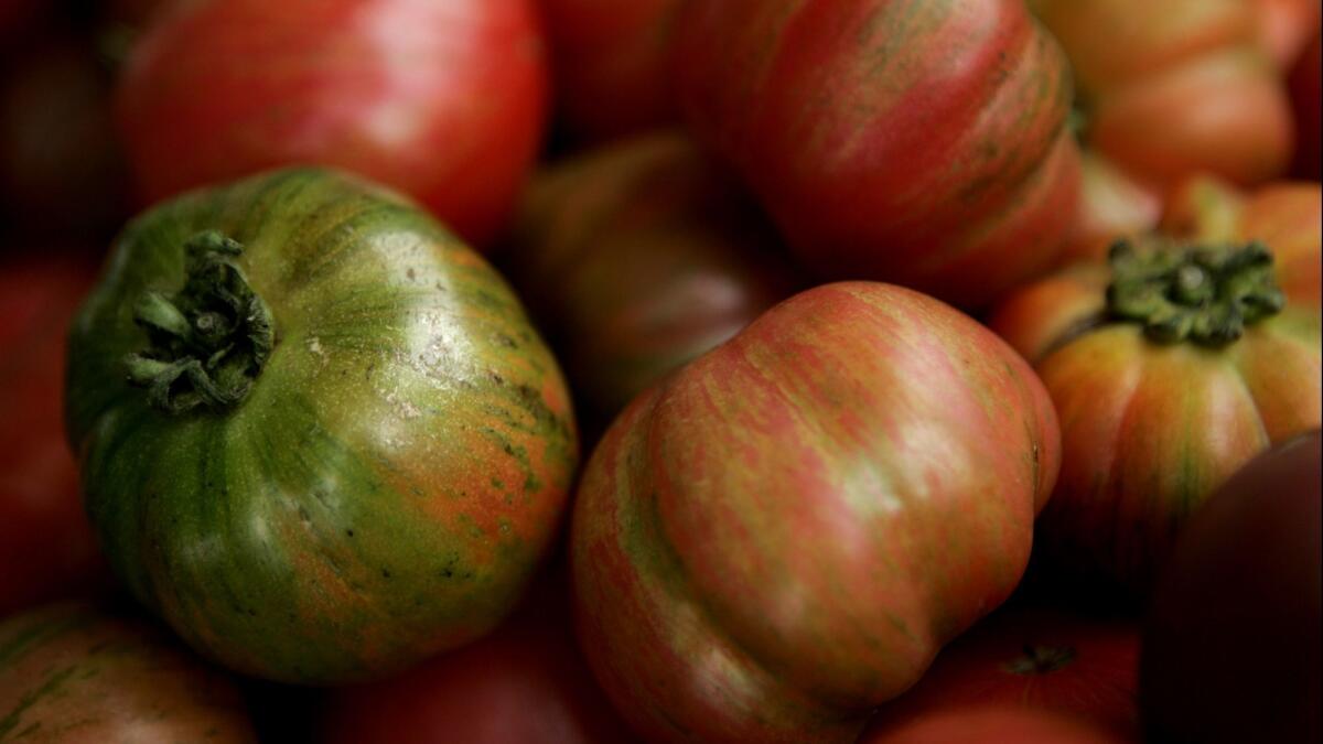 Green zebra was named after the striped variety of tomato, which has roots in the Northwest.