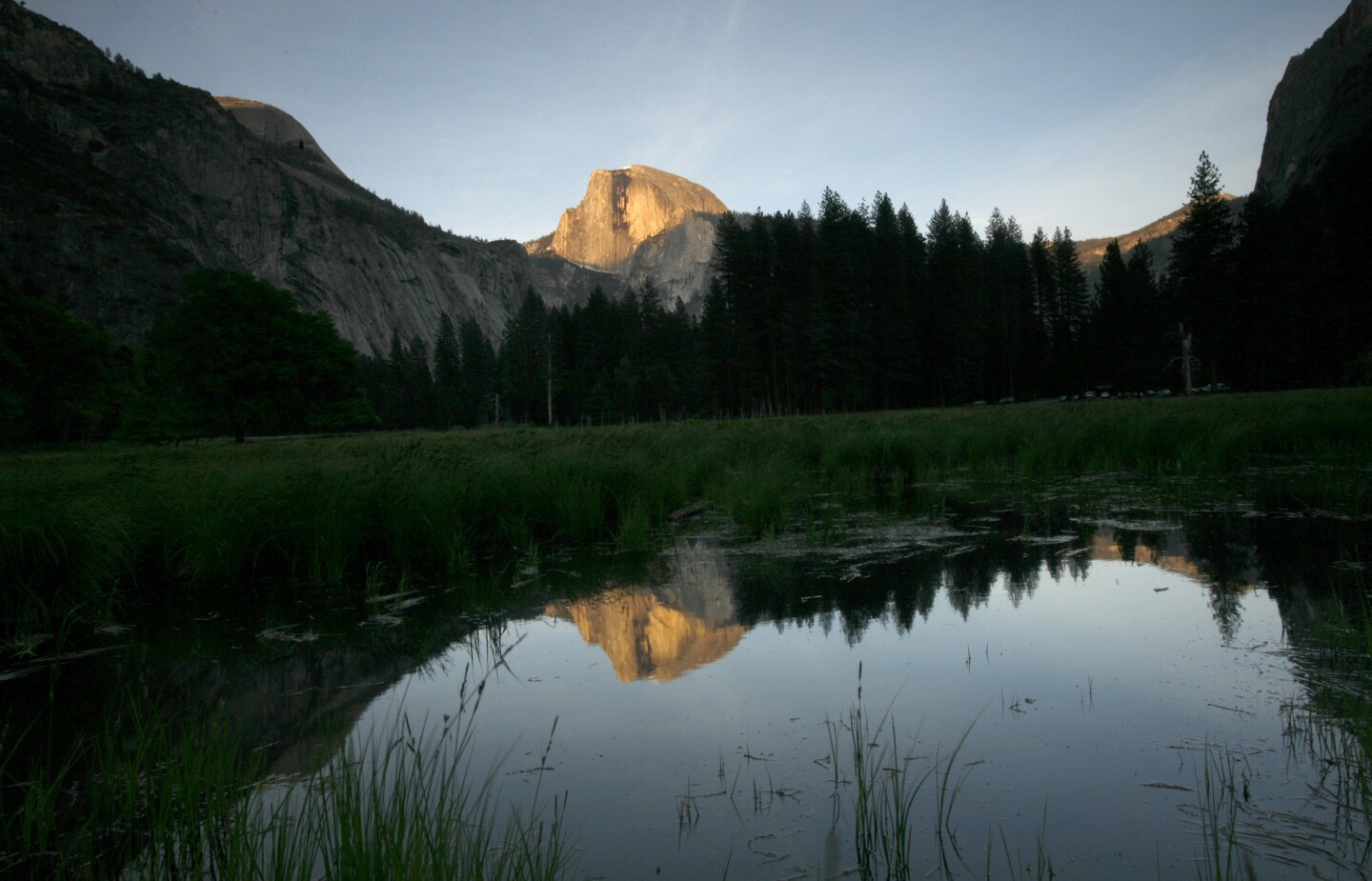 Half Dome reflected in a pond in Yosemite Valley.
