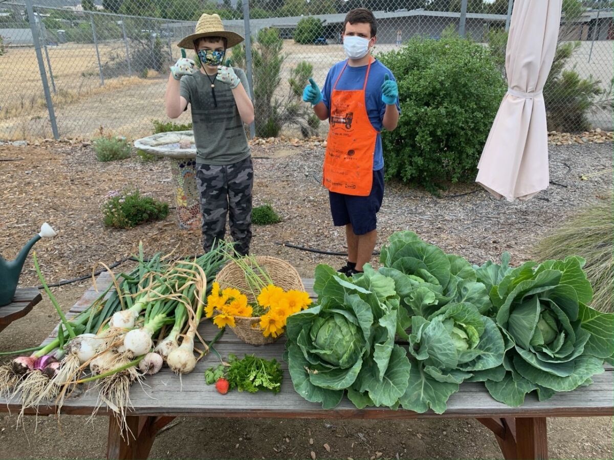 Two students work in the San Carlos Community Garden