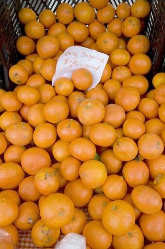 Daisy mandarins