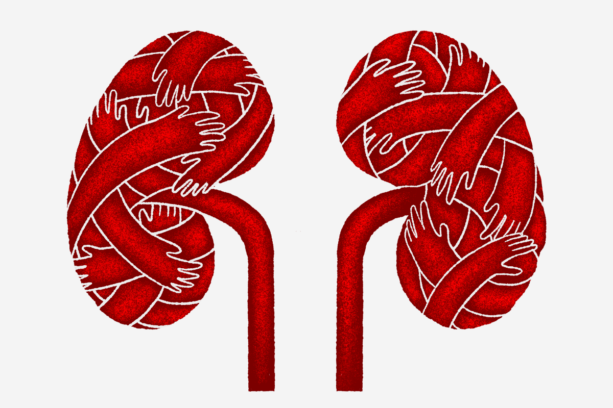 Illustration of kidneys formed by arms embracing.