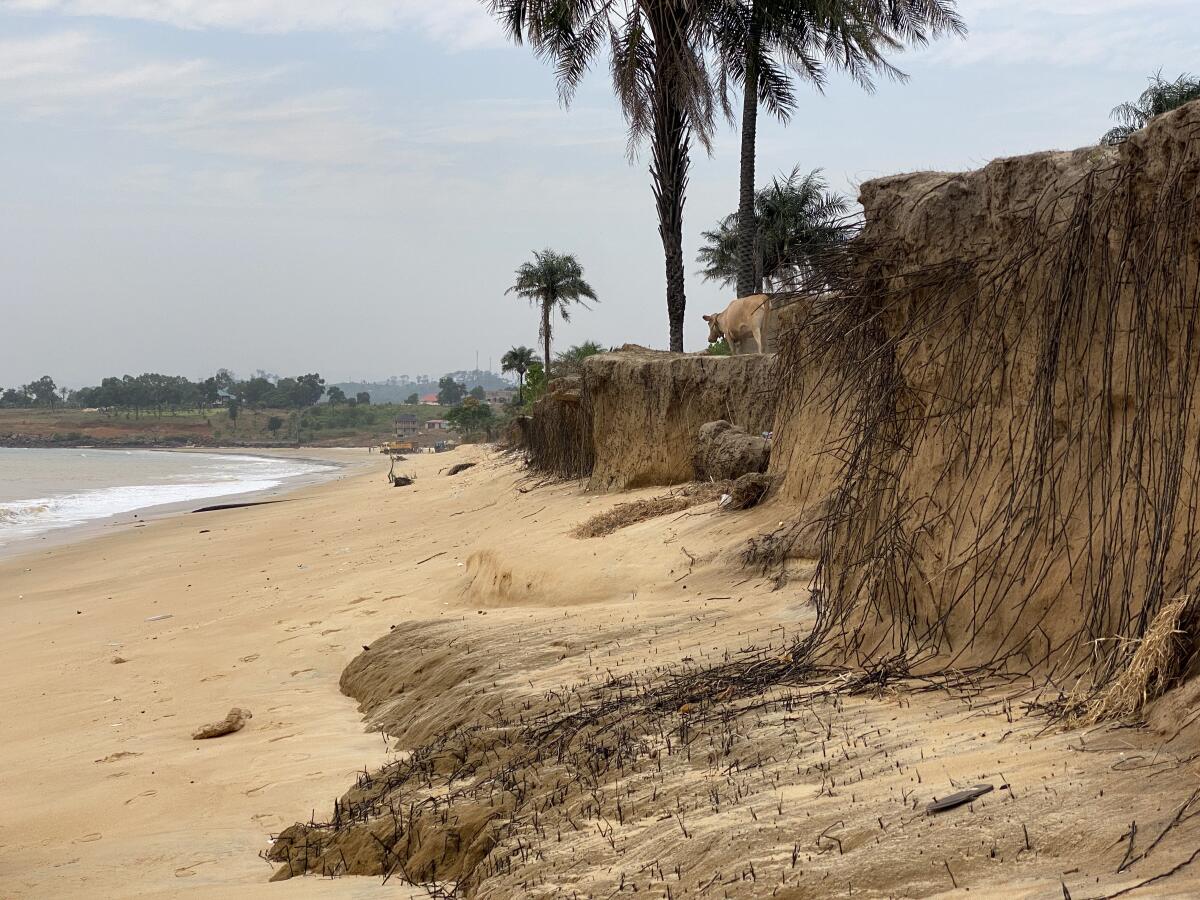 Erosion near the shore