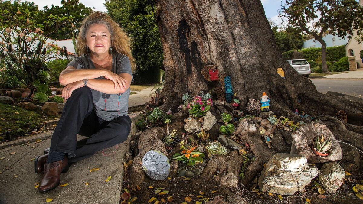 Rita Tateel created a whimsical fairy and gnome garden on the tree in front of her home.