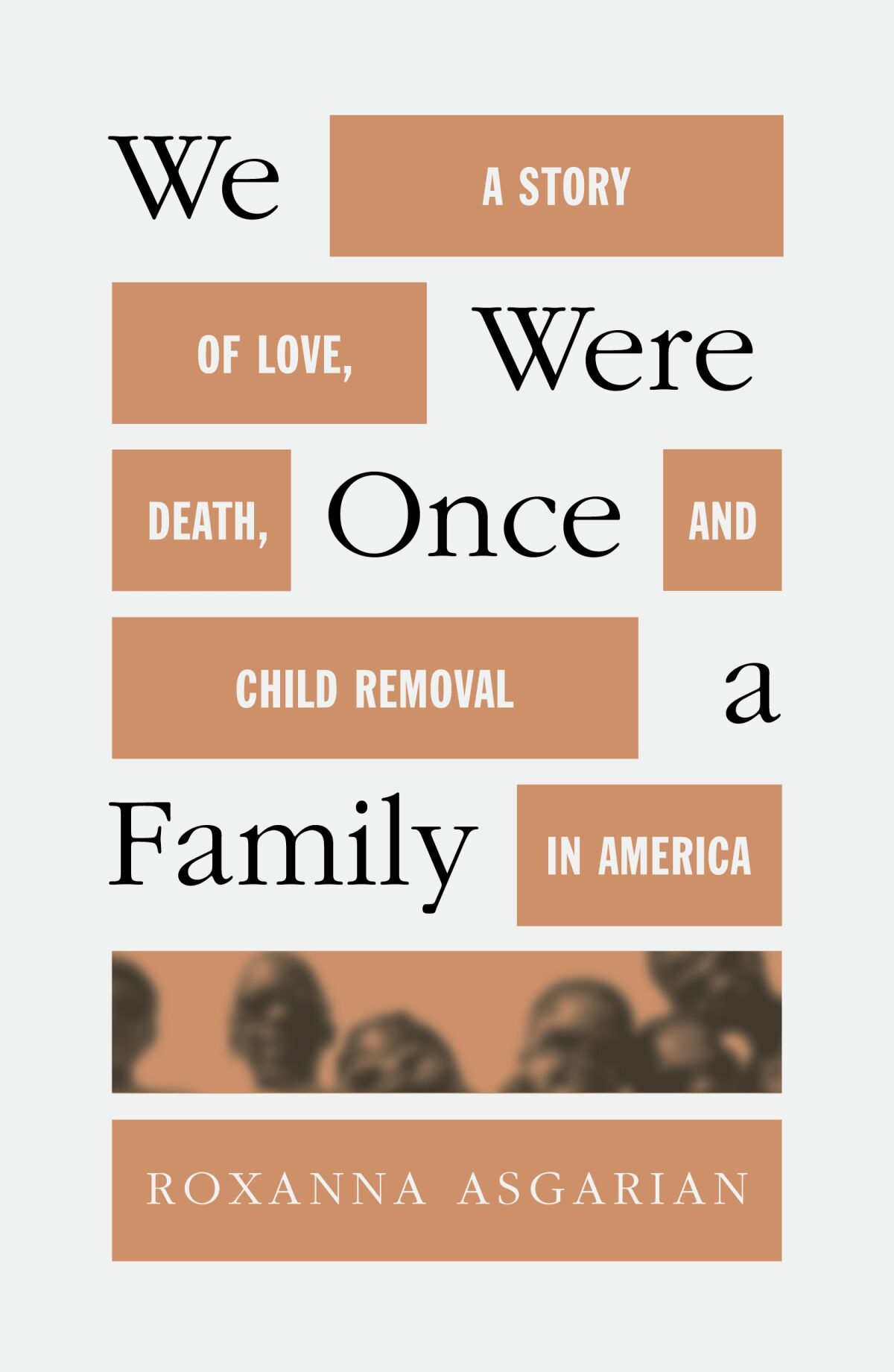 The cover of 'We Were Once a Family' by Roxanna Asgarian