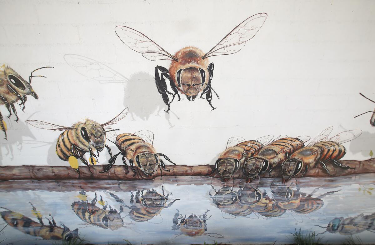 The bee mural, "The Good of the Hive," by artist Matt Willey, in front of the Laguna Beach County Water District.